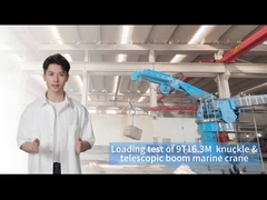 9T16.3M Scheepskraan voor efficiënte vrachtverwerking